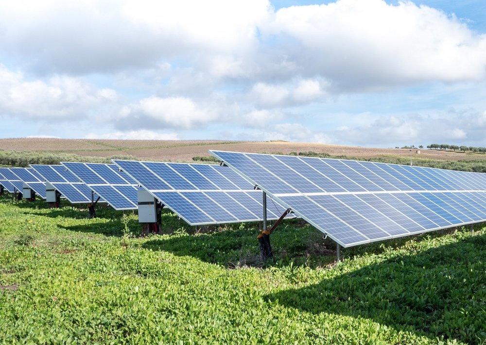Solarpanel auf grüner Wiese